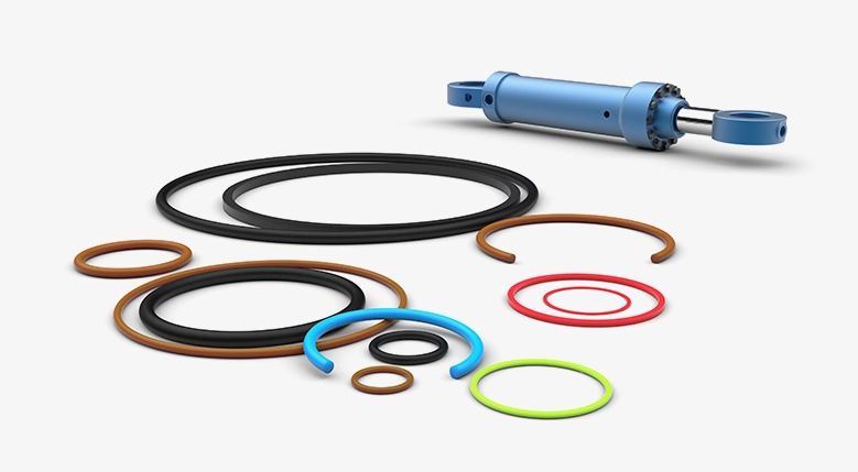 O Rings & Backup Rings